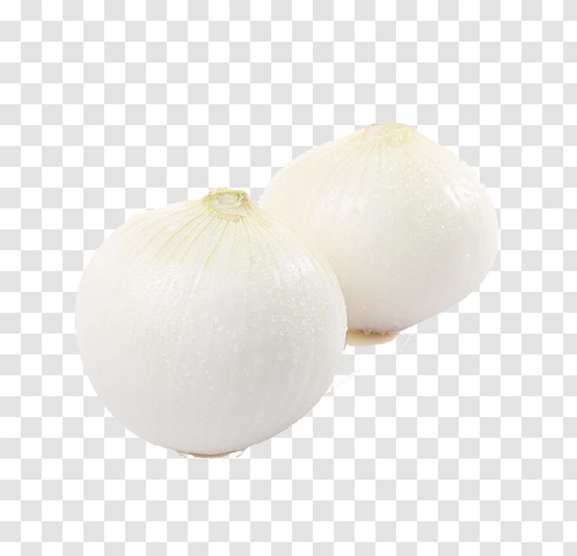 White Onion Vegetable Download - Species - Two Onions Transparent PNG