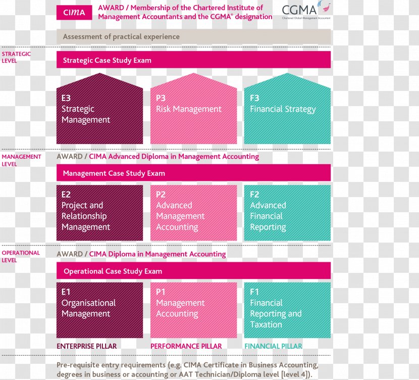 Chartered Institute Of Management Accountants Test Professional Certification Accounting Syllabus - Skill Certificate Transparent PNG