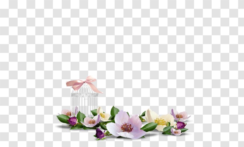 Flower Picture Frames Desktop Wallpaper Transparent PNG