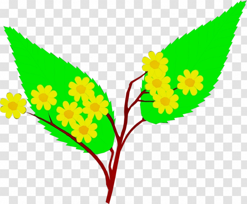 Leaf Yellow Flower Plant Transparent PNG