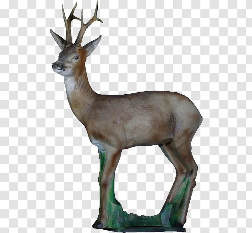 Roe Deer Elk Red White-tailed - Tir Nature Transparent PNG