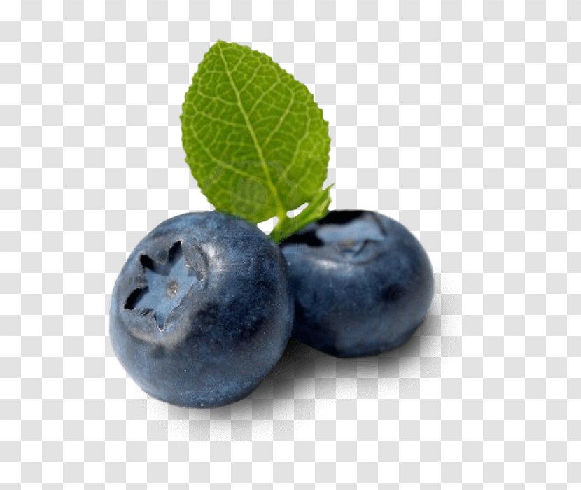 Bilberry Blueberry Fruit Food - Raspberry Transparent PNG