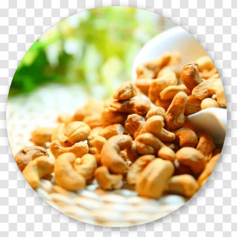 Cashew Nut Food Milk Substitute Macadamia - Anacardium - Almond Transparent PNG