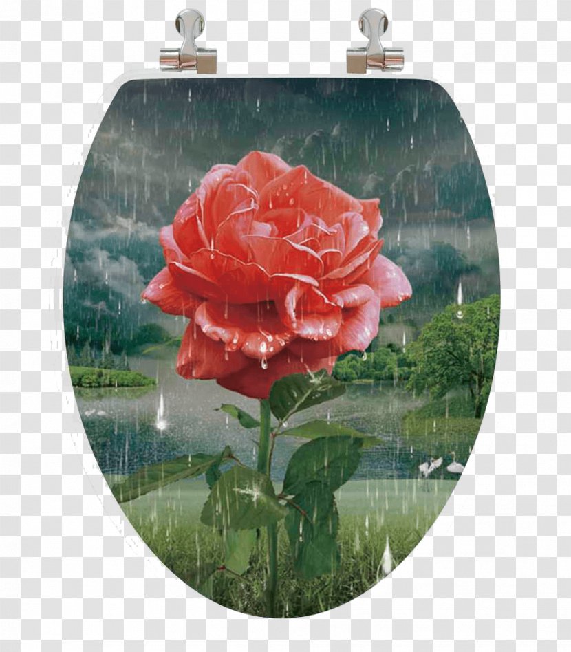 Garden Roses Toilet & Bidet Seats Seat Cover - Toddler - Realistic Different Nuts Transparent PNG