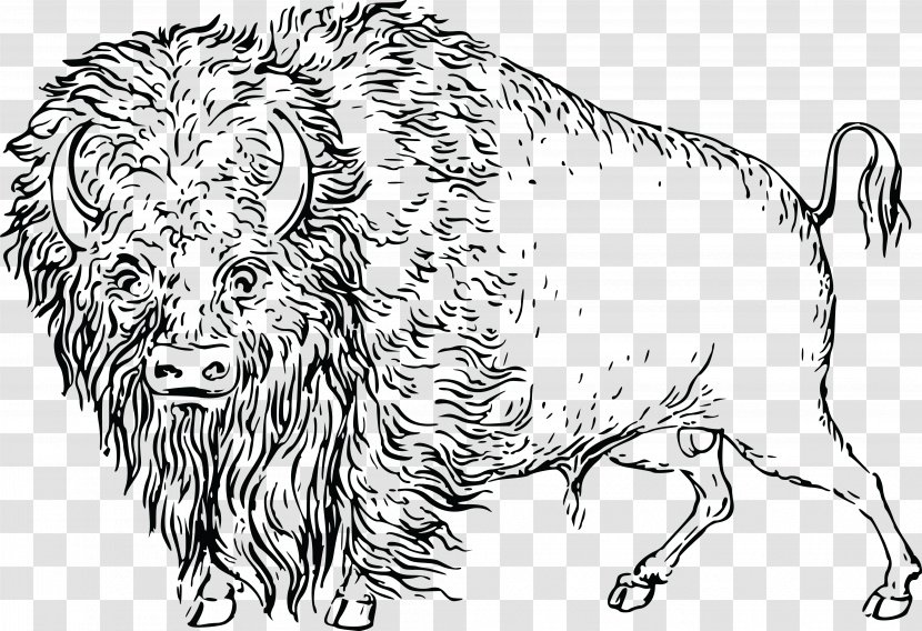 Water Buffalo American Bison Cattle Deer Clip Art - Horn Transparent PNG