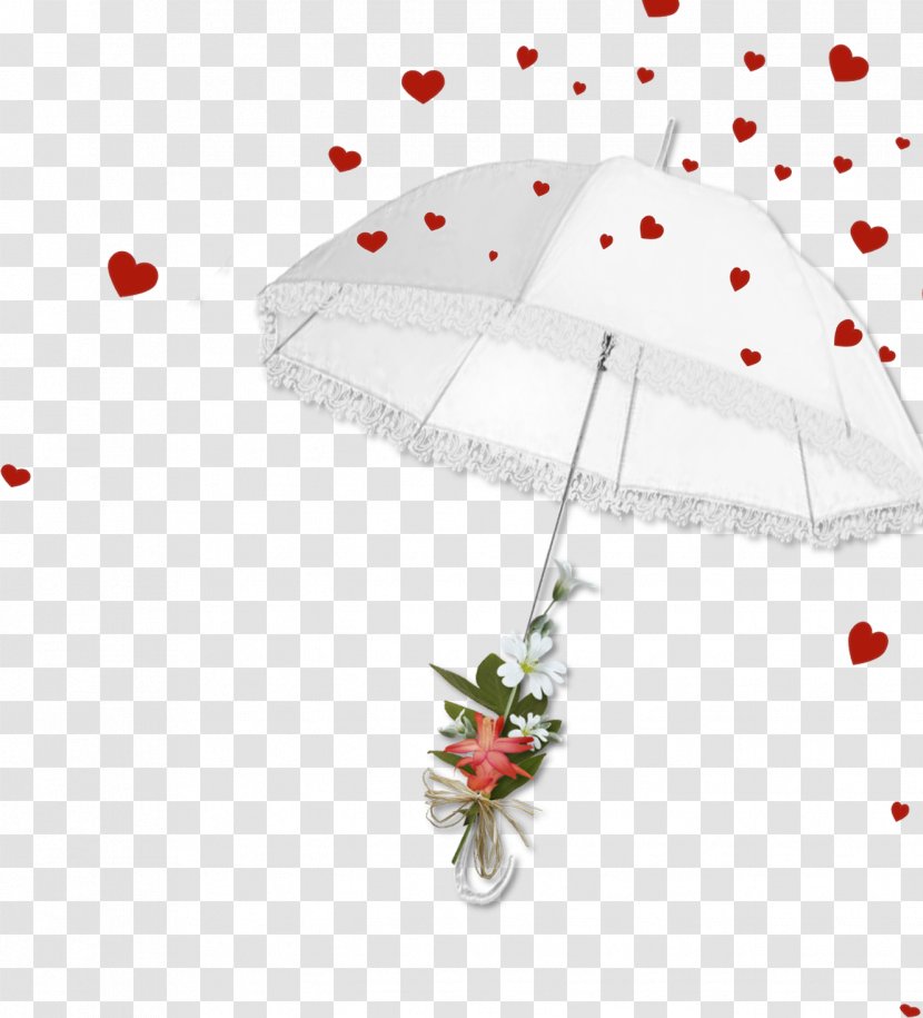Umbrella - Fashion Accessory - Petal Transparent PNG