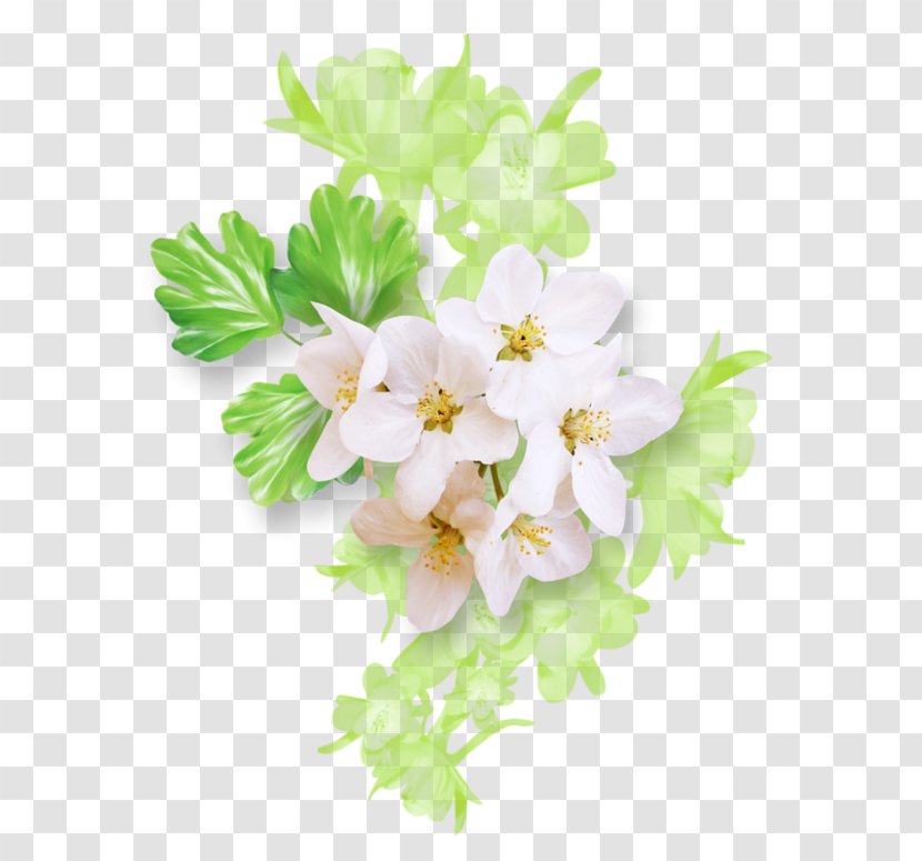 Floral Design Drawing Flower White Green Transparent PNG