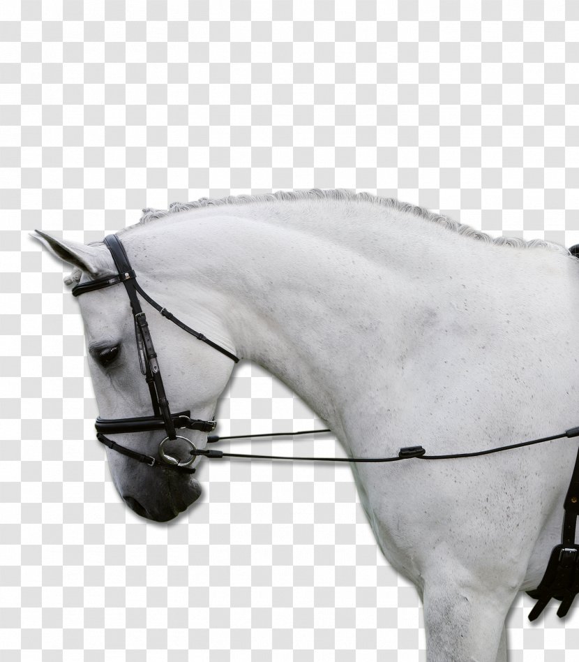 Horse Rein Martingale Equestrian Saddle - Like Mammal Transparent PNG