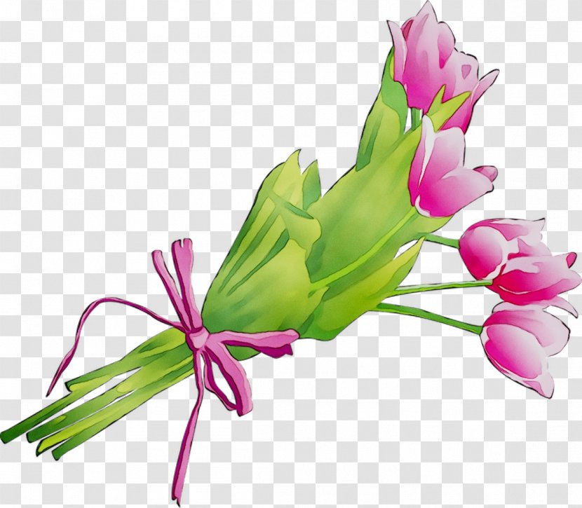 Floral Design Cut Flowers Flower Bouquet Plant Stem - Botany Transparent PNG