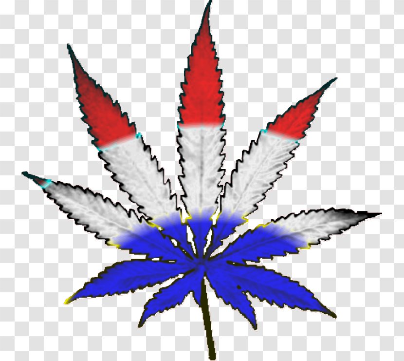 Cannabis Smoking Substance Intoxication Decal Clip Art Transparent PNG