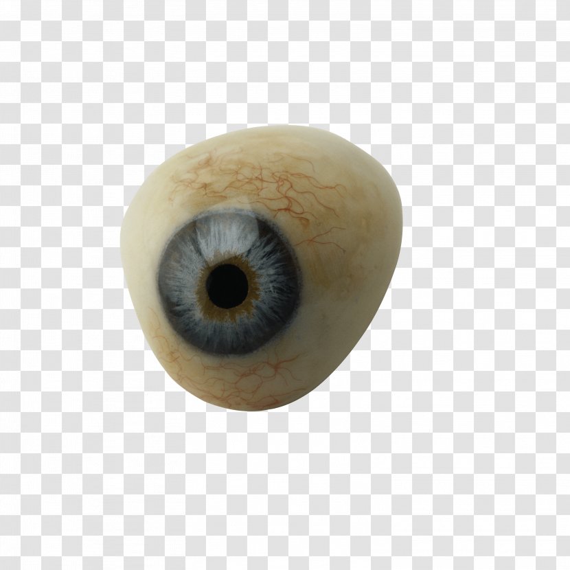 Eyelash Pupil - Cartoon - Eye Image Transparent PNG