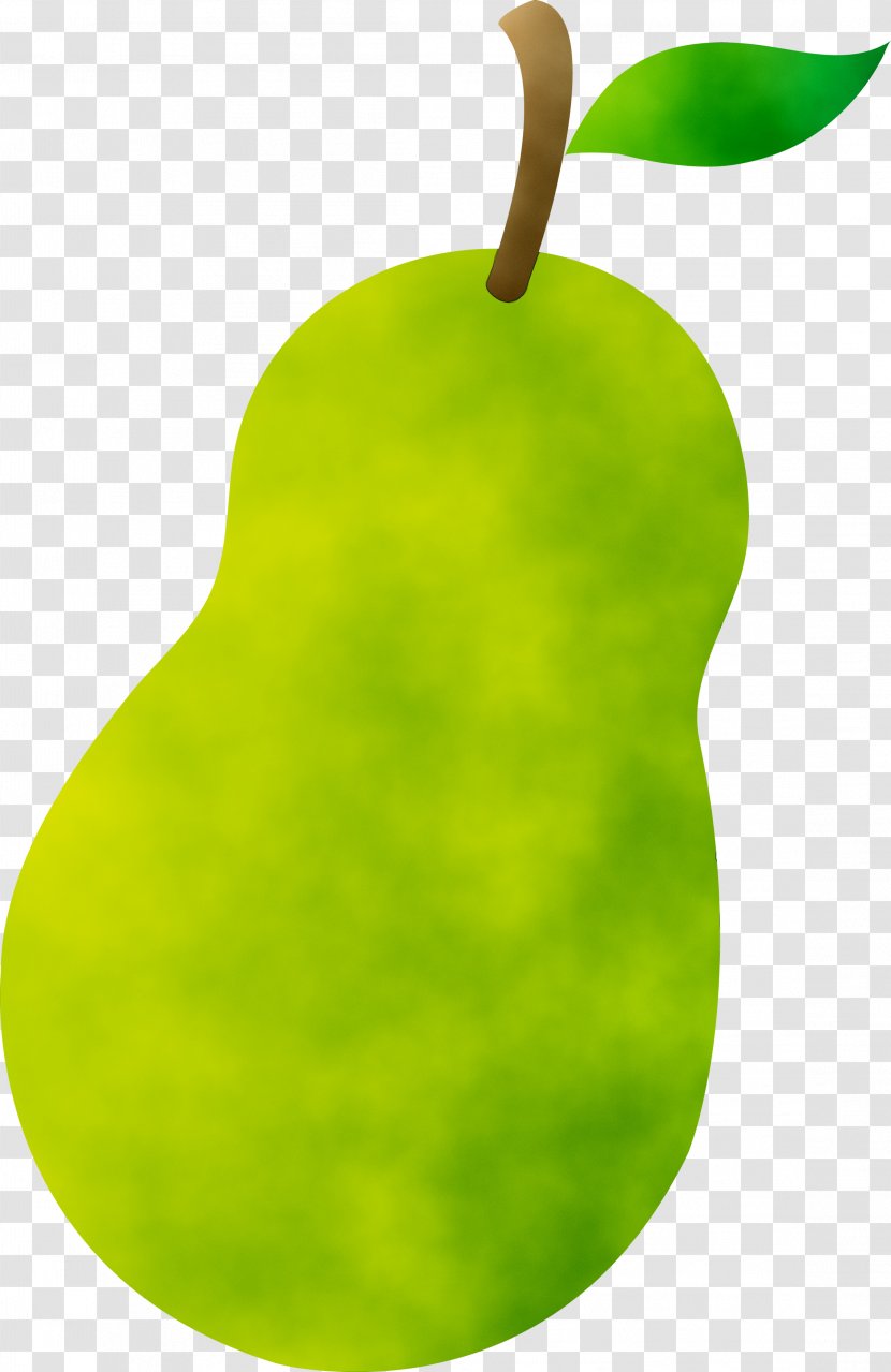 Clip Art Asian Pear Chinese White Image - Woody Plant - Tree Transparent PNG