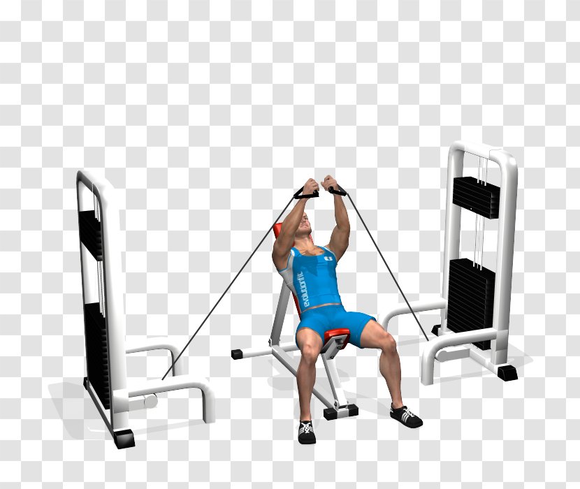 Bench Exercise Fly Pectoralis Major Muscle Fitness Centre - Standing - Aura Aperture Transparent PNG