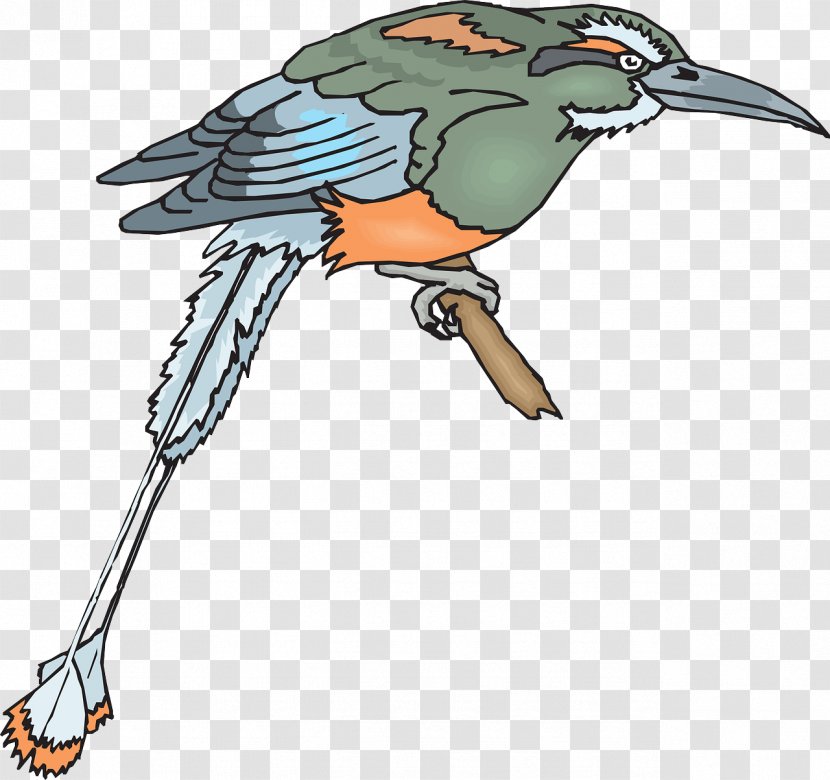 Bird Beak Feather Clip Art - Cuculiformes - Flying Transparent PNG