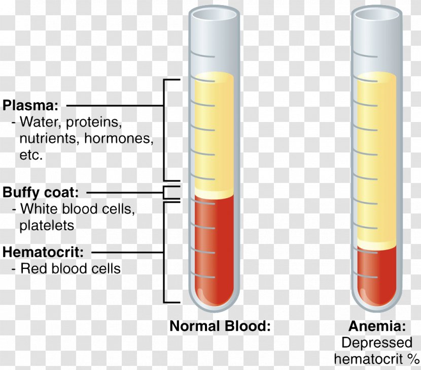 Injection Test Tubes Cylinder - Design Transparent PNG