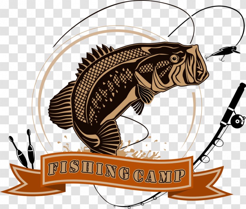 Logo Fishing Angling Illustration - Vector Club Transparent PNG