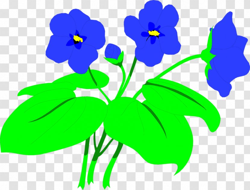 Flower Petal Leaf Violet Plant Stem - Family - Flowers Illustrations Transparent PNG