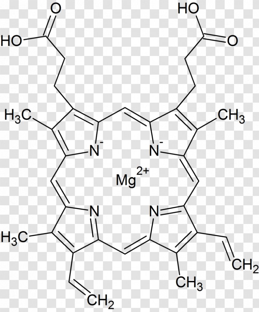 Chlorophyll Porphyrin Green Hemoglobin Structure - Frame - Magnesium Transparent PNG