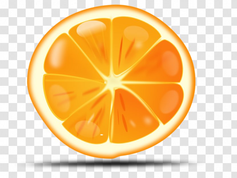 Orange Juice Clip Art - Free Content - Cliparts Transparent PNG