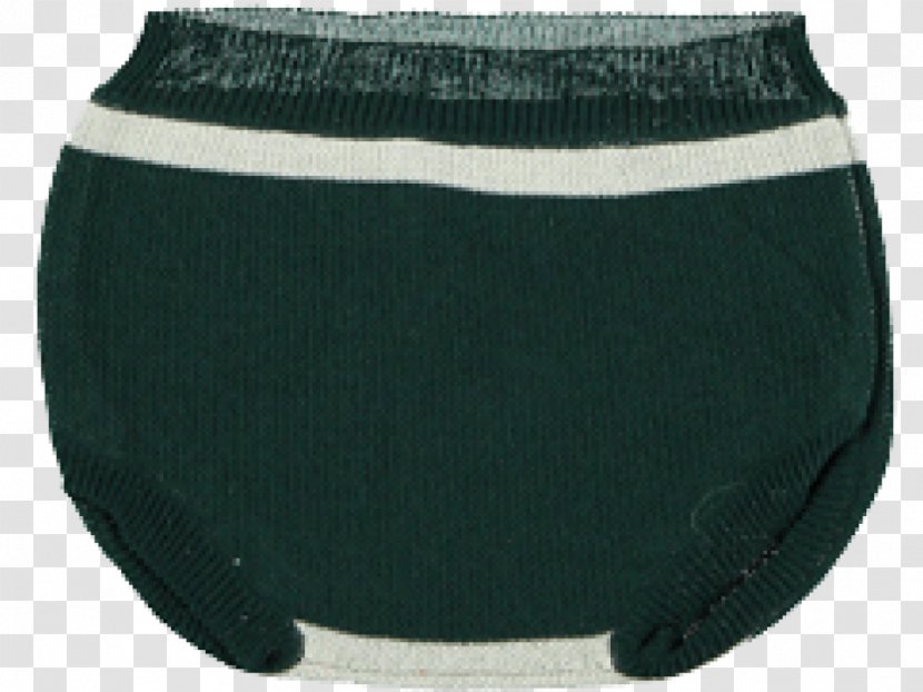 Briefs Underpants Teal - Flower - Green Stripes Transparent PNG