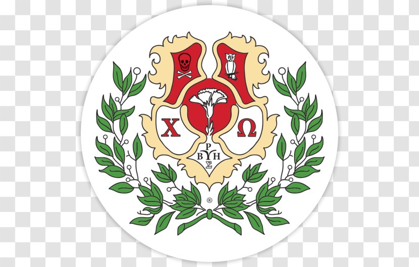 University Of Arkansas South Florida Chi Omega National Panhellenic Conference Fraternities And Sororities - Cincinnati Transparent PNG