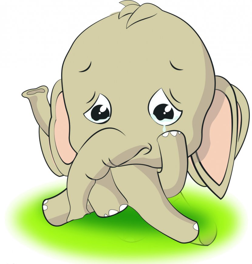 Puppy Crying Elephantidae Child - Flower Transparent PNG