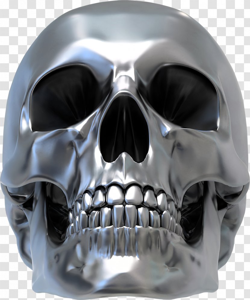 Human Skull Symbolism Silver Sticker Decal - Vector Transparent PNG