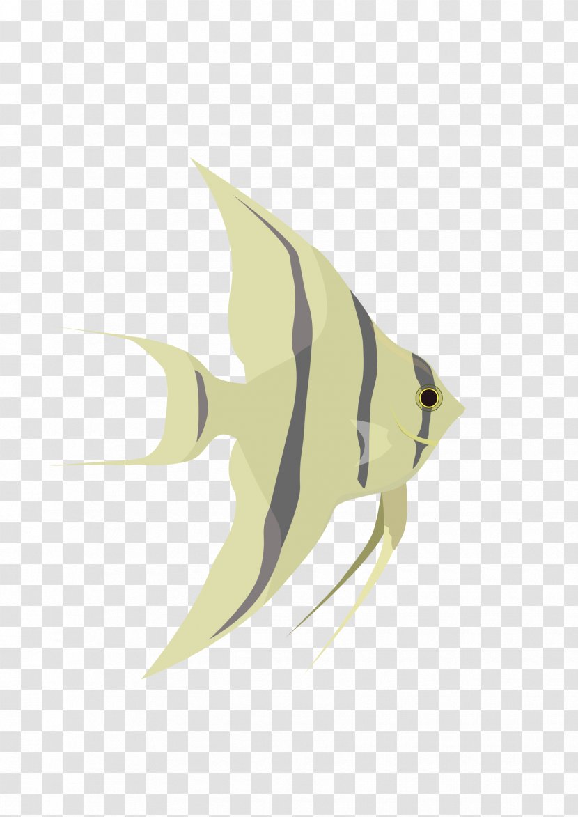 Angelfish Clip Art - Apng - Fin Transparent PNG