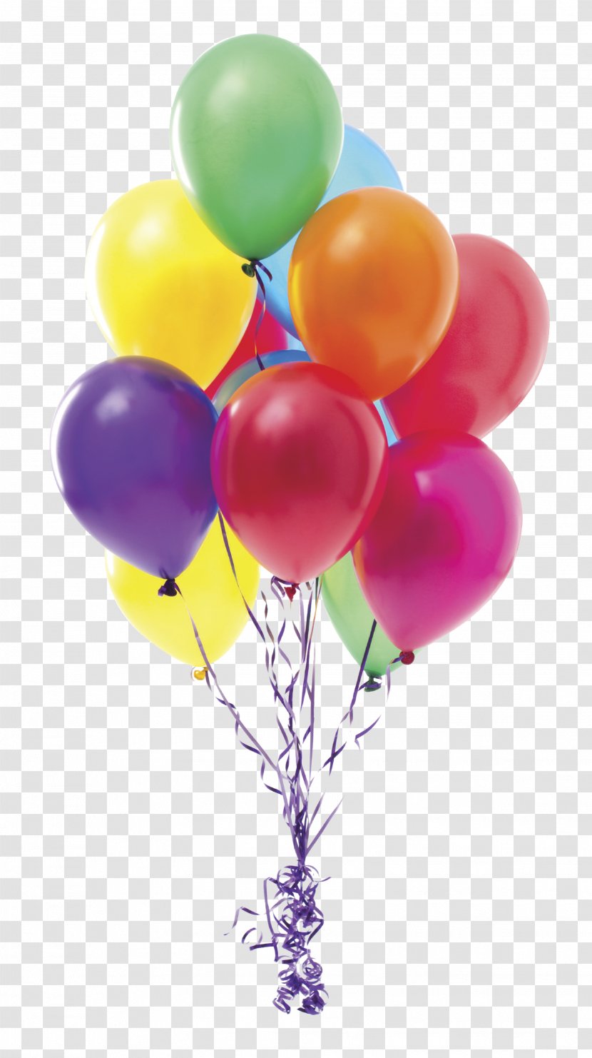 Toy Balloon Helium Party Birthday - Stock Photography Transparent PNG