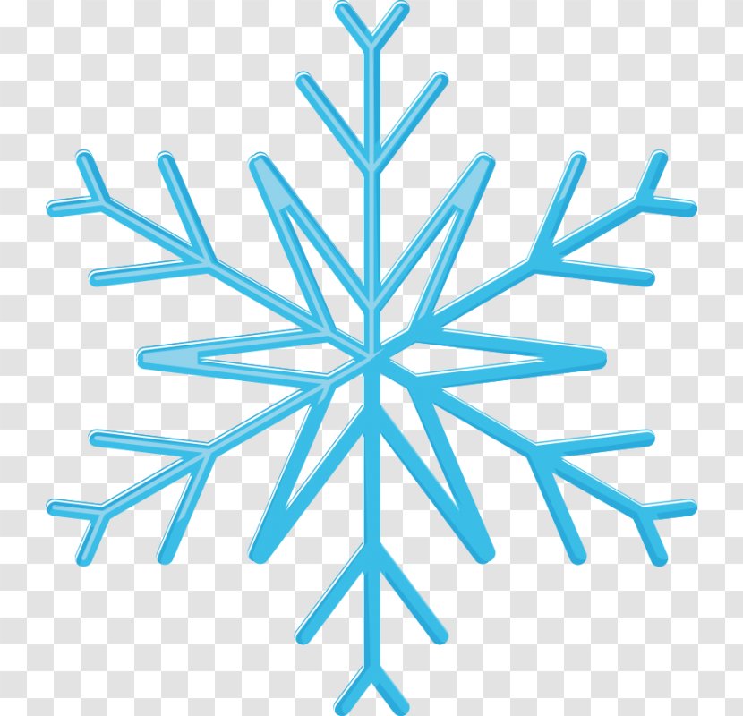 Snowflake - Leaf - Snow Transparent PNG
