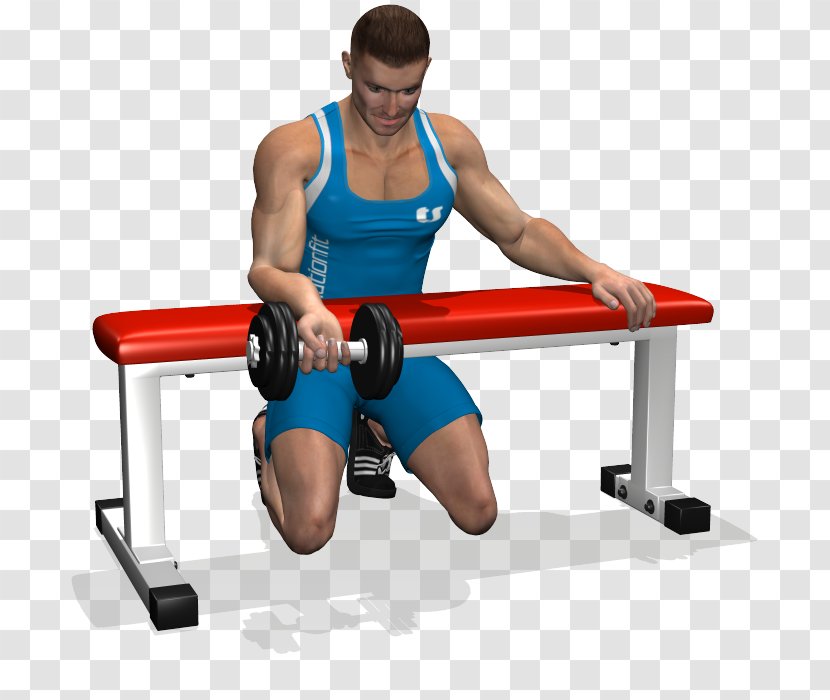 Wrist Curl Forearm Dumbbell Biceps Bench - Silhouette - Curls Transparent PNG