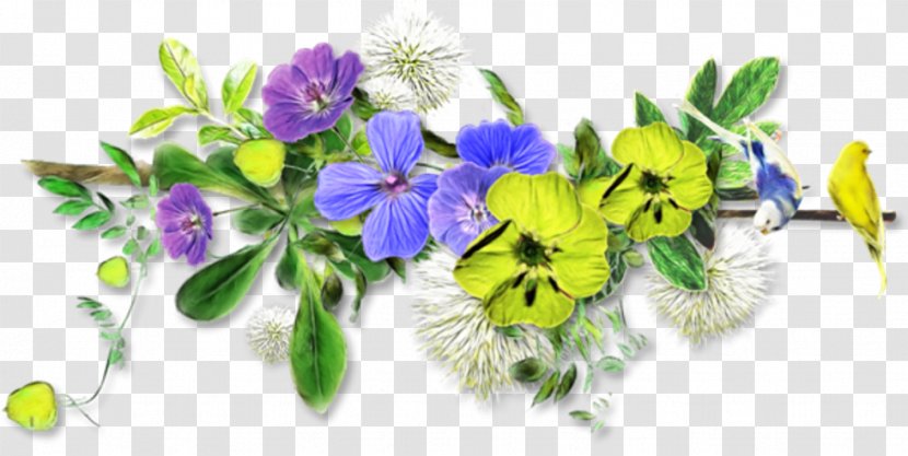 Flower Color Clip Art - Floristry Transparent PNG