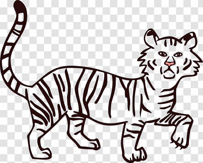 Drawing Cat Lion Bengal Tiger Clip Art - Artwork - Kangaroo Transparent PNG