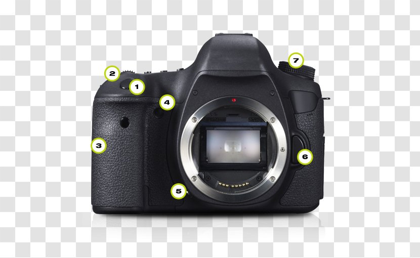 Canon EOS 6D Mark II EF Lens Mount Digital SLR - Hardware - Camera Transparent PNG