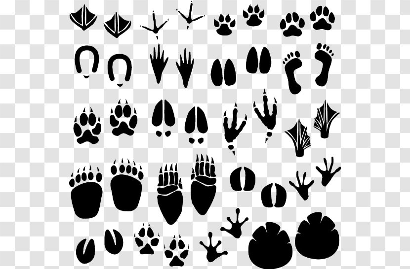 Footprint Animal Track Clip Art - Photography - Insect Footprints Transparent PNG