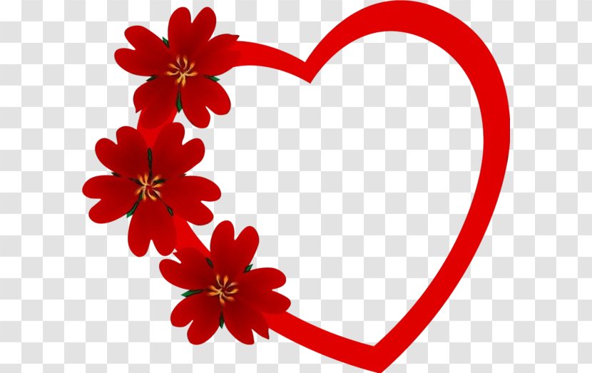 Film Frame - Valentines Day - Flower Plant Transparent PNG