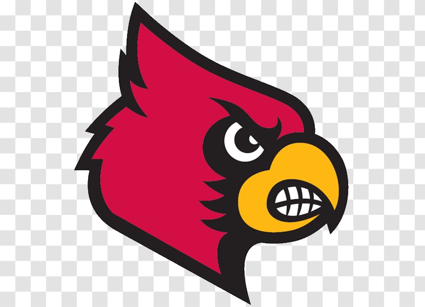 University Of Louisville Cardinals Men's Basketball Softball Cardinal Bird Transparent PNG