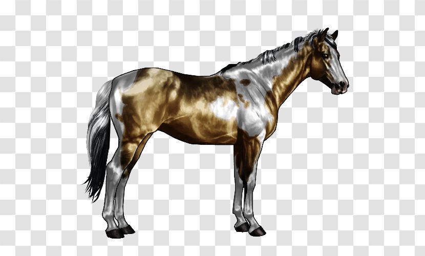 American Paint Horse Appaloosa Overo Roan Tobiano - Mammal - Pattern Transparent PNG