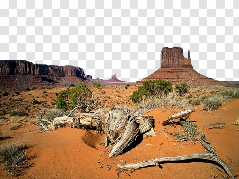 Oljato Monument Valley Tours West And East Mitten Buttes Totem Pole - Sand - Desert Tree Transparent PNG