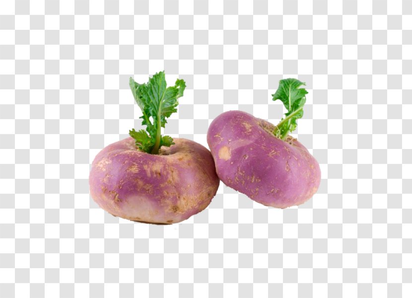 Turnip Cruciferous Vegetables Nutrition Root - Artichoke - Turniphd Transparent PNG