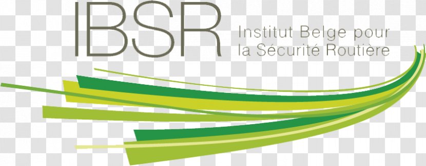 Institute Belgian Pour La Sécurite Routière Road Safety Traffic IMOB Car - Organization - Auto Ecole Transparent PNG
