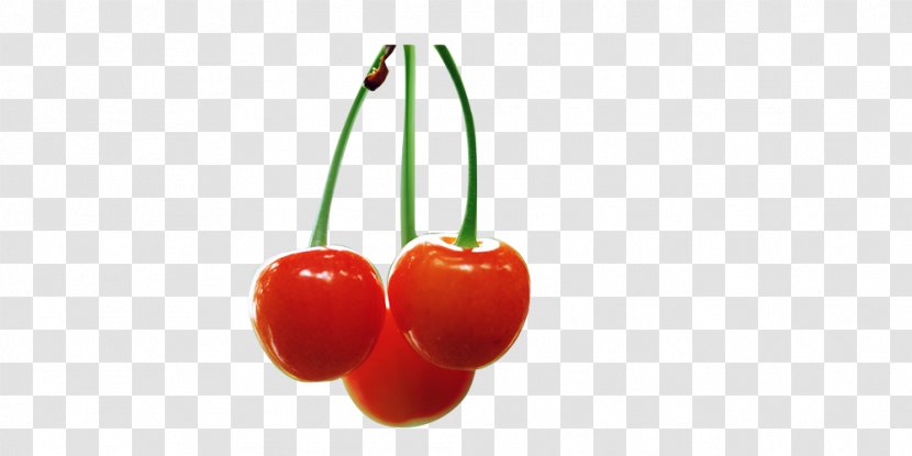 Cherry Superfood Natural Foods - Fruit Transparent PNG