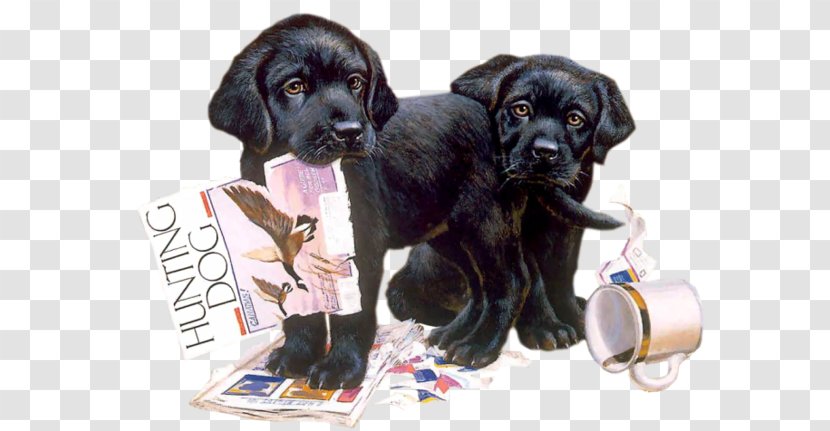 Labrador Retriever Puppy Cairn Terrier Dog Breed Nintendogs + Cats - Snout Transparent PNG