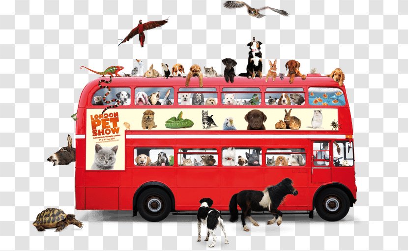 Dog Pet Double-decker Bus Animal Welfare - Heart Transparent PNG