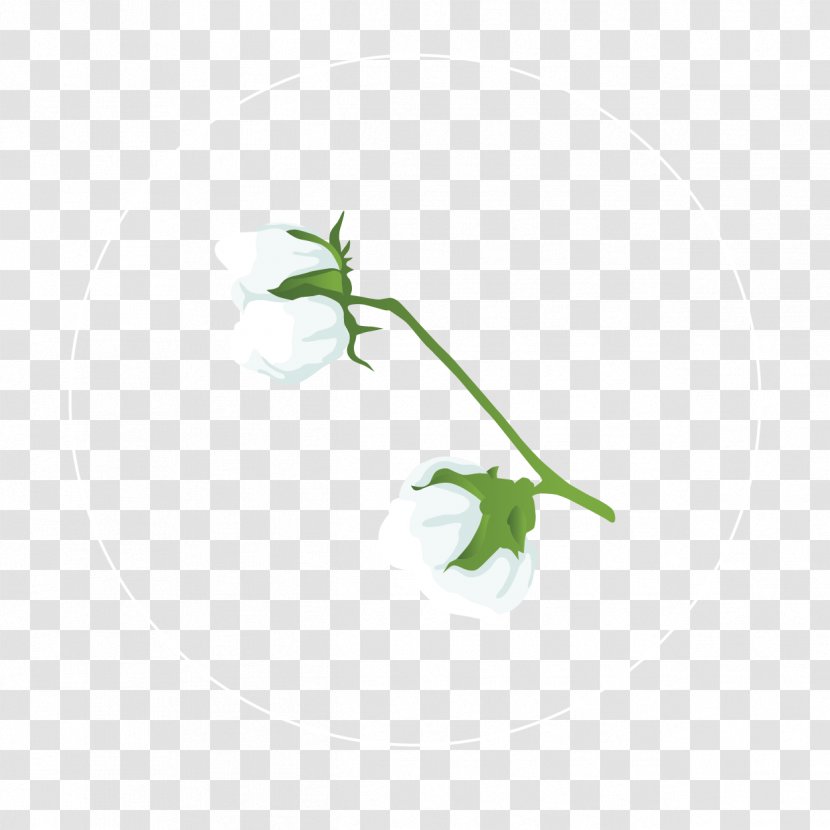 Green Leaf Background - Petal - Morning Glory Bellflower Transparent PNG
