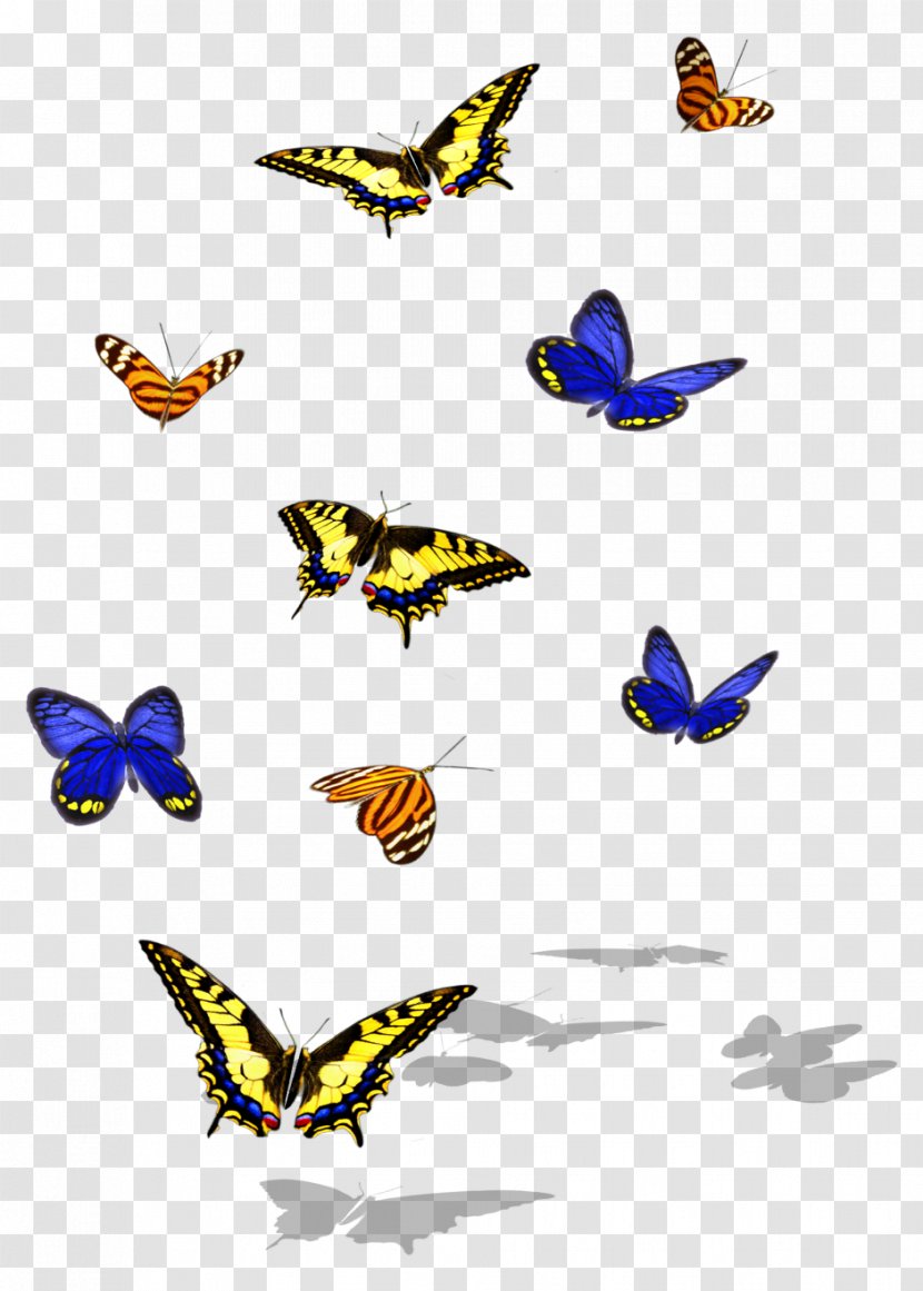 Monarch Butterfly Brush-footed Butterflies Insect Clip Art - Membrane Winged Transparent PNG