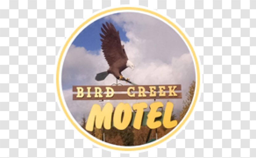 Bird Creek Motel & RV Park Hotel Expedia - Eagle Transparent PNG