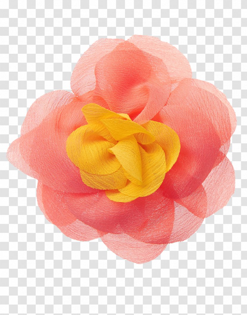 Garden Roses Cut Flowers Petal - Yellow - Peach Blossom Transparent PNG