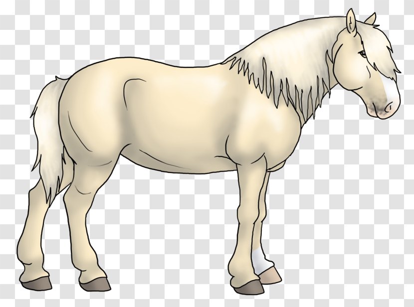 Mane Foal Stallion Mare Colt - Mustang Transparent PNG