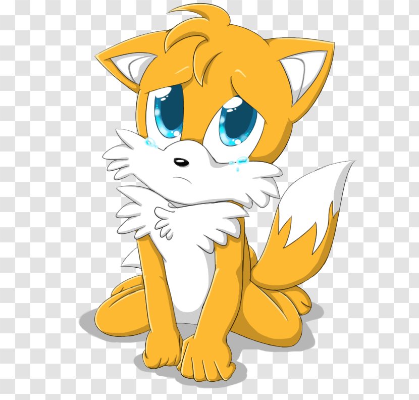 Tails Sonic Chaos Puppy Doctor Eggman Amy Rose Transparent PNG